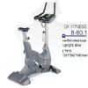 دوچرخه ایستاده باشگاهی (Upright Bike DK)