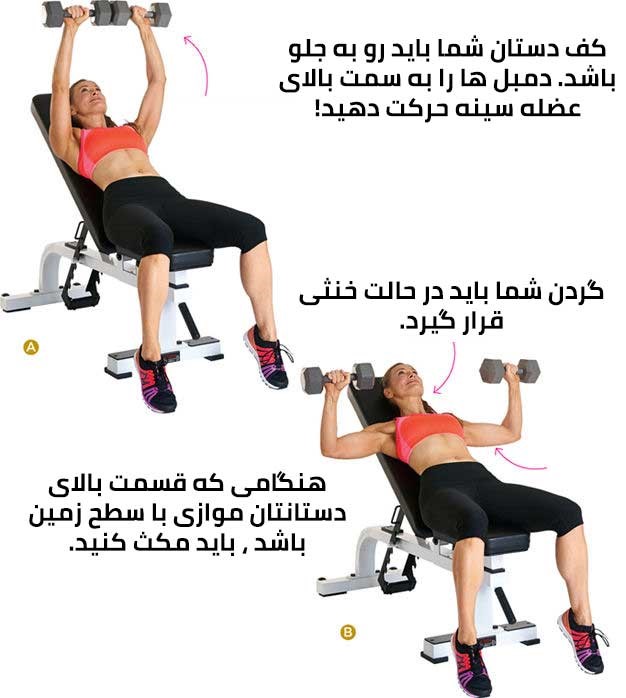 میز پرس بالا سینه